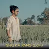 About Ishq Ka Rang (LoFi) Song